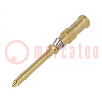 Contact; male; copper alloy; nickel plated,gold-plated; 0.5mm2