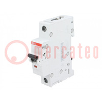 Circuit breaker; 230VAC; Inom: 10A; Poles: 1; Charact: B; 6kA; IP20