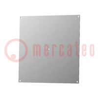 Mounting plate; steel; 2mm; Series: Polysafe