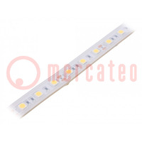 LED tape; white neutral; 5050; 12V; LED/m: 60; 10mm; white PCB; IP65