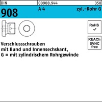 Verschlußschraube DIN 908 Bund/Innen-6kt