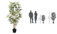 PAPERFLOW Kunstpflanze "Bambus", Höhe: 1600 mm (74600189)