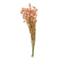 Skabiose Kugel mit Stiel - Länge ca. 70 cm - ca. 25 Blüten - pink