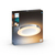Philips Hue White ambience Adore Bathroom ceiling light