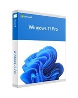 Microsoft Windows 11 Pro 64bit Vollversion DVD SB, Englisch