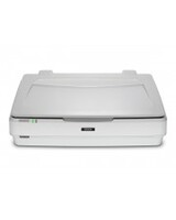 Epson Expression 13000XL Flachbettscanner A3 2400 dpi x 4800 USB 2.0