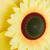 2 x Windrad "Sonnenblume" in Gelb - (B)29 x (H)76 x (T)8 cm 10041400_0