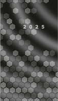 RIDOIDE Taschenplaner M-Planer 2025 46831015.25 1M/2S schwarz DE 8.7x15.3cm