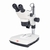 Microscopios estereoscópicos con iluminación Serie SMZ-171 Tipo SMZ-171-BLED