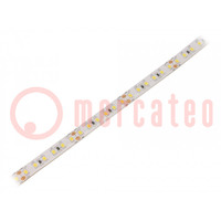 LED strips; koud wit; 2835; 24V; LED/m: 120; 10mm; witte PCB; IP65