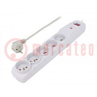 Plug socket strip: protective; Sockets: 5; 230VAC; 10A; grey