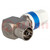Plug; coaxial 9.5mm (IEC 169-2); for cable