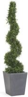 Artificial Topiary Boxwood Spiral Tree - 120cm, Green