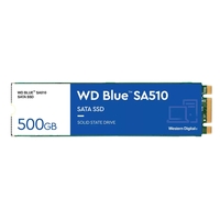 WESTERN DIGITAL BLUE SA510 M.2 500 GO SÉRIE ATA III (WDS500G3B0B)