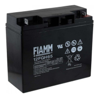 FIAMM 12FGH65 batería para sistema ups 12 V 18 Ah