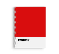 CUAD. ESCOLOFI PANTONE BASIC A4 80H 5X5 90GR RO