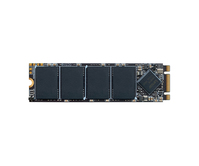 512GB Lexar NM100 M.2 (6Gb/s) SSD