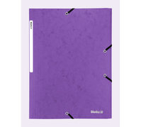 Biella 17840142U Aktenordner Karton Violett A4