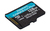 Kingston Technology Carte microSDXC Canvas Go Plus 170R A2 U3 V30 de 128 Go + ADP
