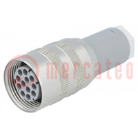 Connector: DIN 43651; plug; NR; female; PIN: 12; w/o contacts; 5A
