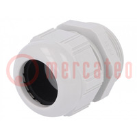 Cable gland; PG29; IP68; polyamide; light grey