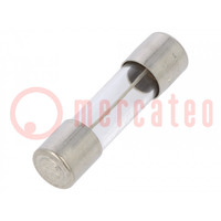 Fuse: fuse; time-lag; 32mA; 250VAC; cylindrical,glass; 5x20mm