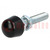 Clamping bolt; Thread: M10; Base dia: 18mm; Kind of tip: rounded