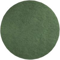 Produktbild zu Polierpad grün D=400 mm