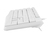 NATEC NAUTILUS keyboard Home/Office USB QWERTY US International White