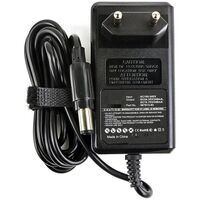 Charger for Dyson Battery, Euro Plug with 150cm DC Cable Ladegeräte