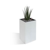 Plant cube, square, without plants