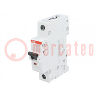 Circuit breaker; 230VAC; Inom: 13A; Poles: 1; Charact: B; 6kA; IP20