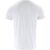 Produktbild zu FRUIT OF THE LOOM T-Shirt Iconic T Type F130 bianco Tg. XL 100 % cotone