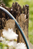 Gardena 18930-20 wąż ogrodowy 20 m Nad ziemią Plastik, Termoplastyczny elastomer Czarny, Niebieski, Szary