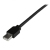 StarTech.com Câble USB 2.0 actif de 15m - Rallonge USB 2.0 avec hub à 4 ports - Noir