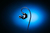 Razer Moray Kopfhörer Kabelgebunden im Ohr Schwarz