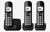 Panasonic KX-TGC 463GB DECT-Telefon Anrufer-Identifikation Schwarz