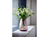 BITZ 25347 Vase Vase mit runder Form Glas Pink