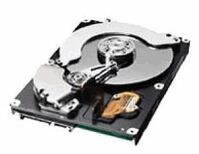 40GB Harddrive Interne harde schijven