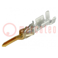 Contact; male; gold-plated; 0.25÷0.5mm2; 24AWG÷20AWG; crimped