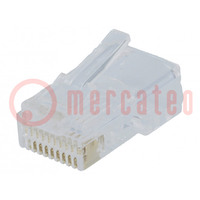 Connector: RJ50; plug; PIN: 10; Layout: 10p10c; for cable