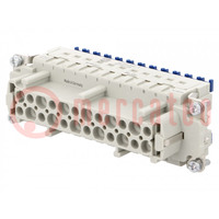 Connector: HDC; contact insert; female; Han® ES Press; PIN: 24