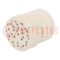 Connector: M23; contact insert; PIN: 17; female; crimped; 160V; 8A