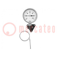 Messgerät: Temperatur; analog,Ausdehnung; 0÷250°C; 70; Ø: 160mm
