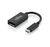 Fujitsu S26391-F6058-L223 video cable adapter 0.15 m USB Type-C DisplayPort Black