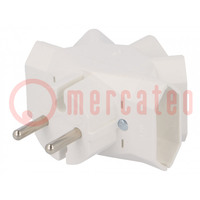 Connecteur: alimentation AC; multiprise; 2P; 250VAC; 6A; blanc