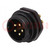 Socket; SP21; male; PIN: 5; IP68; 10A; screw terminal; 500V; 1.5mm2