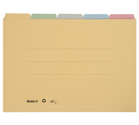 Biella 32543200U Tab-Register Karton Braun