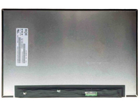 CoreParts MSC133U30-001M laptop spare part Display
