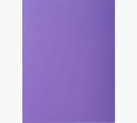 Exacompta 800008E Aktenordner Karton Violett A4